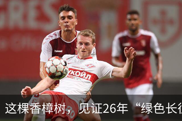 这棵香樟树，见证26年“绿色长征”